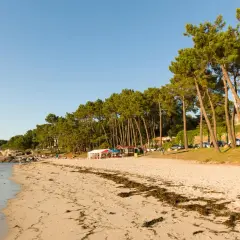 Playa de arena dorada con pinos y mar azul. Un día perfecto para disfrutar de qué ver en O Grove, con gente relajándose y un chiringuito.