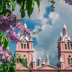 Flores lilas en primer plano y una iglesia rosada con torres al fondo. Un paisaje que sugiere la mejor época para viajar a Colombia.