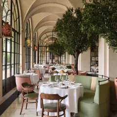 Elegante comedor con mesas vestidas y árboles de olivo, ideal para saber donde comer en Florencia.