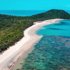 Costa tropical con selva exuberante y arrecifes de coral. Un paraíso para descubrir qué ver en Australia.