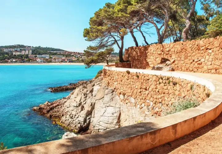 Un sendero serpenteante con muros de piedra y pinos bordeando el mar turquesa. Un hermoso camino de ronda en la Costa Brava.