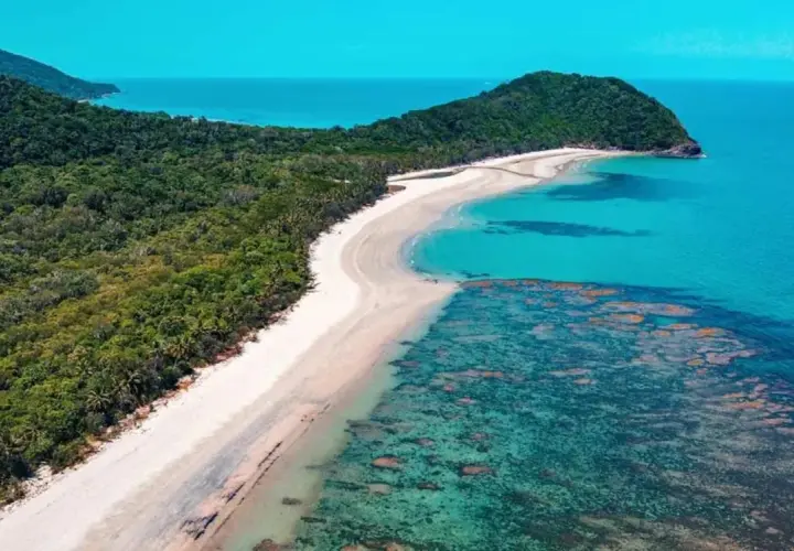 Costa tropical con selva exuberante y arrecifes de coral. Un paraíso para descubrir qué ver en Australia.