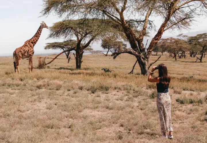 Una mujer observa una jirafa en la sabana, una escena típica de un viaje a Kenia.