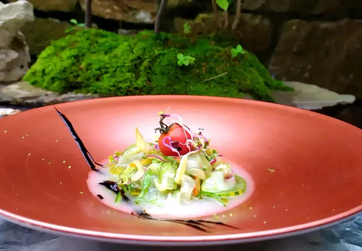 Deliciosa ensalada con tomate y brotes, una opción para saber donde comer en Lierganes.