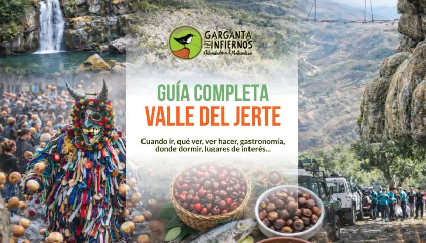 Guía completa del Valle del Jerte: cascadas, fiestas de interés, gastronomía y naturaleza.