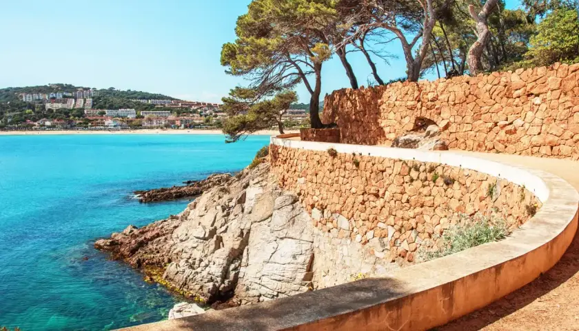 Un sendero serpenteante con muros de piedra y pinos bordeando el mar turquesa. Un hermoso camino de ronda en la Costa Brava.