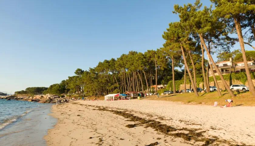 Playa de arena dorada con pinos y mar azul. Un día perfecto para disfrutar de qué ver en O Grove, con gente relajándose y un chiringuito.
