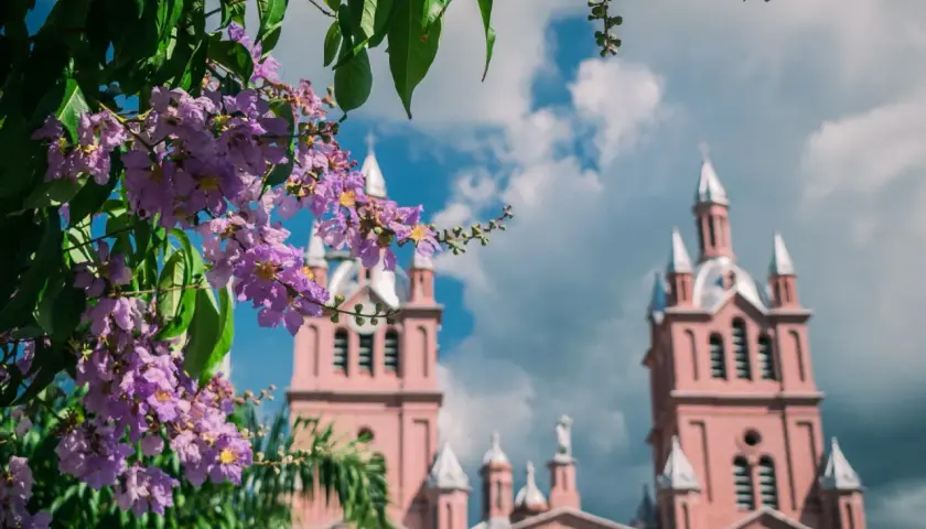 Flores lilas en primer plano y una iglesia rosada con torres al fondo. Un paisaje que sugiere la mejor época para viajar a Colombia.