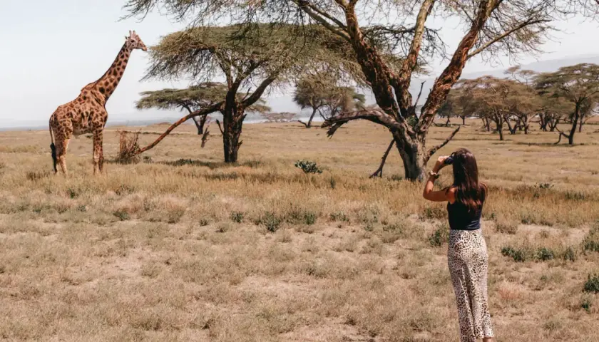 Una mujer observa una jirafa en la sabana, una escena típica de un viaje a Kenia.