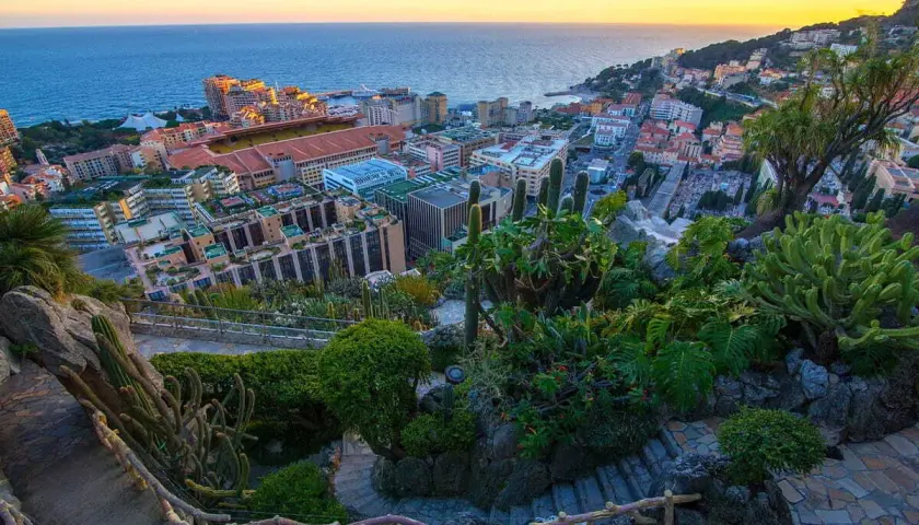 Jardín exótico con vistas a la ciudad y al mar. Descubre qué ver en Mónaco desde este balcón natural lleno de cactus y vegetación exuberante.