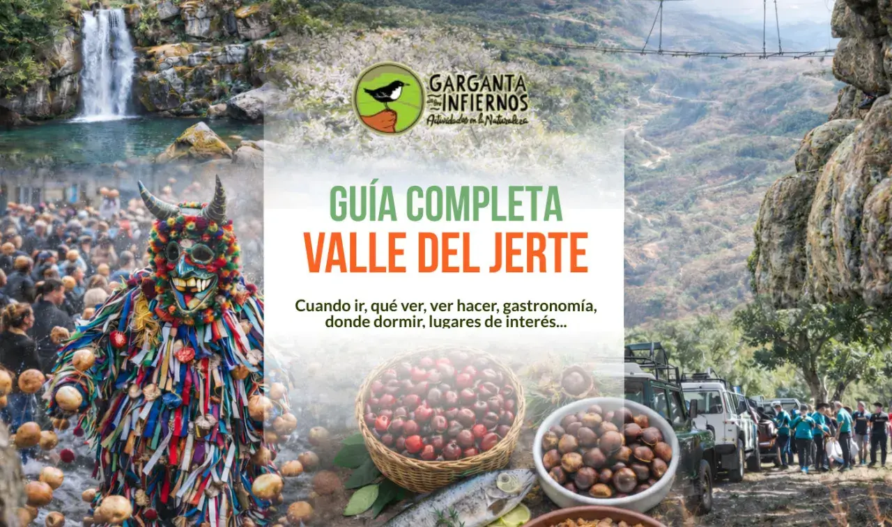Guía completa del Valle del Jerte: cascadas, fiestas de interés, gastronomía y naturaleza.