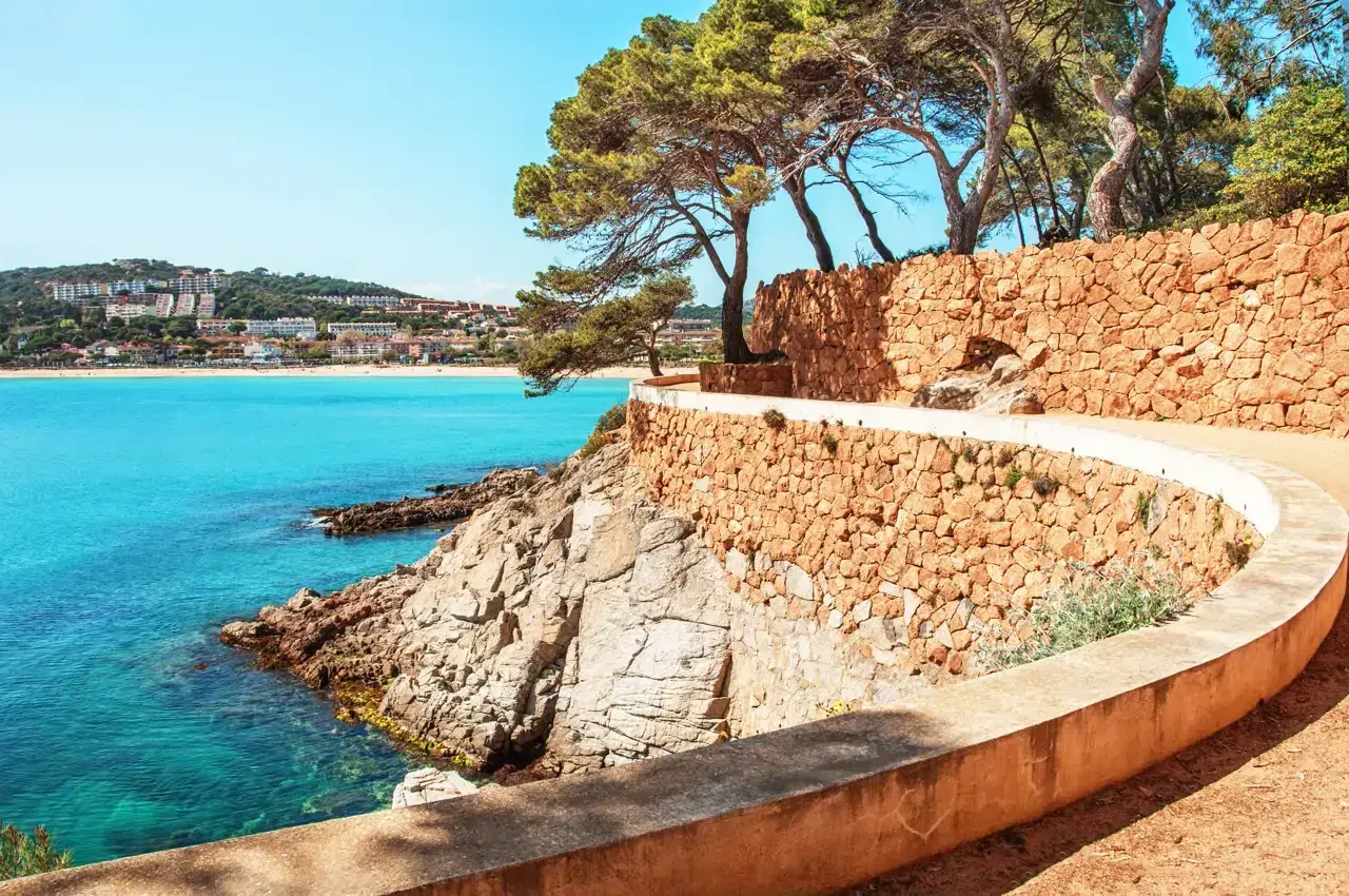 Un sendero serpenteante con muros de piedra y pinos bordeando el mar turquesa. Un hermoso camino de ronda en la Costa Brava.