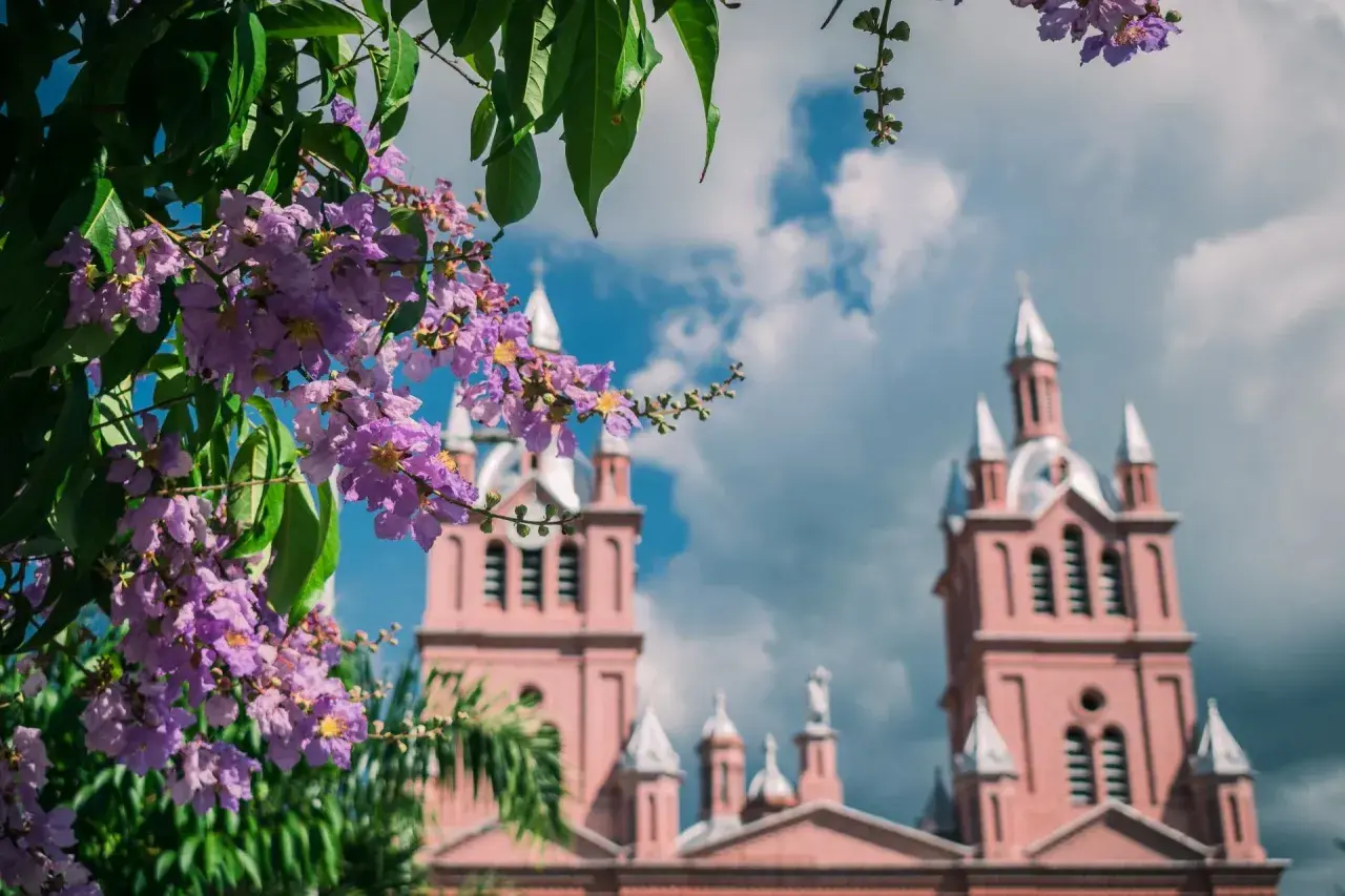 Flores lilas en primer plano y una iglesia rosada con torres al fondo. Un paisaje que sugiere la mejor época para viajar a Colombia.