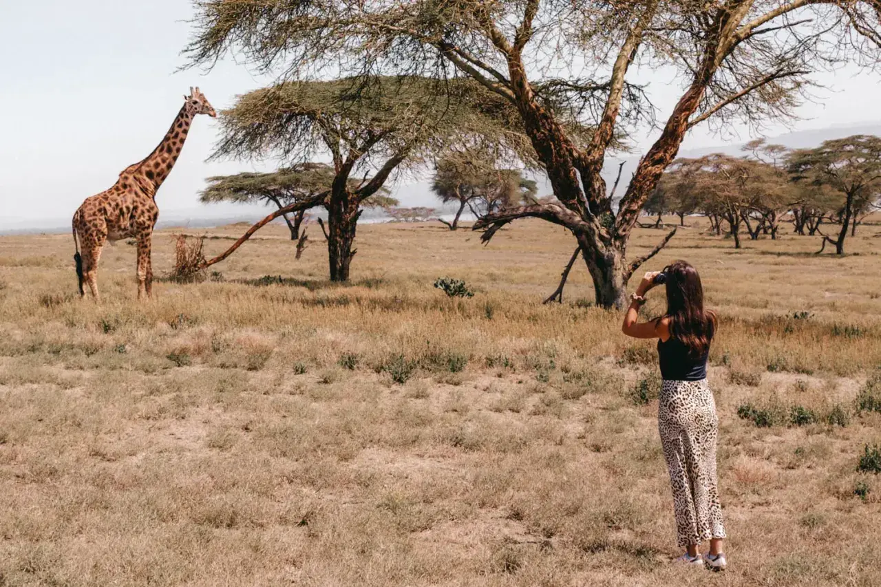 Una mujer observa una jirafa en la sabana, una escena típica de un viaje a Kenia.