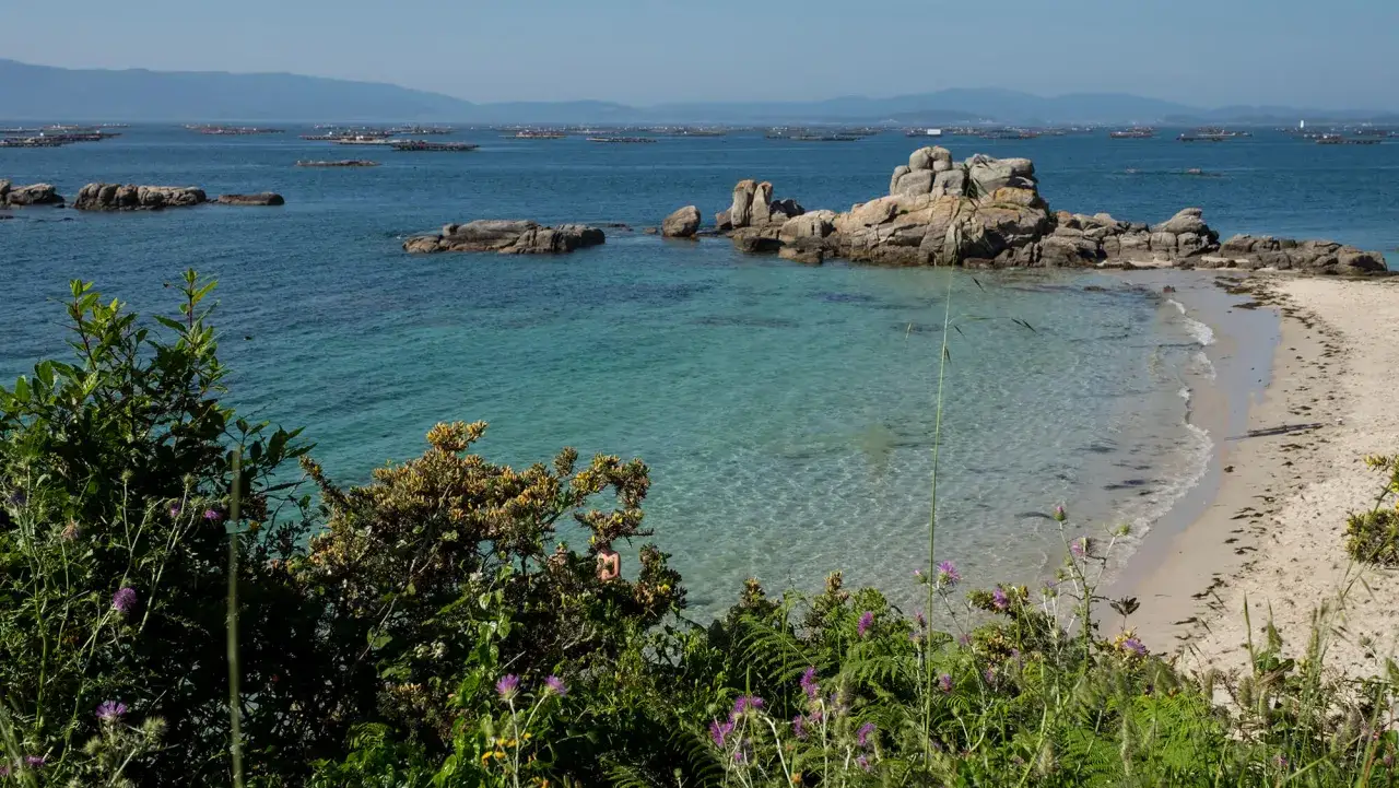 Playa de aguas cristalinas y rocas, con bateas de mejillones al fondo. Un lugar idílico que ver en O Grove.