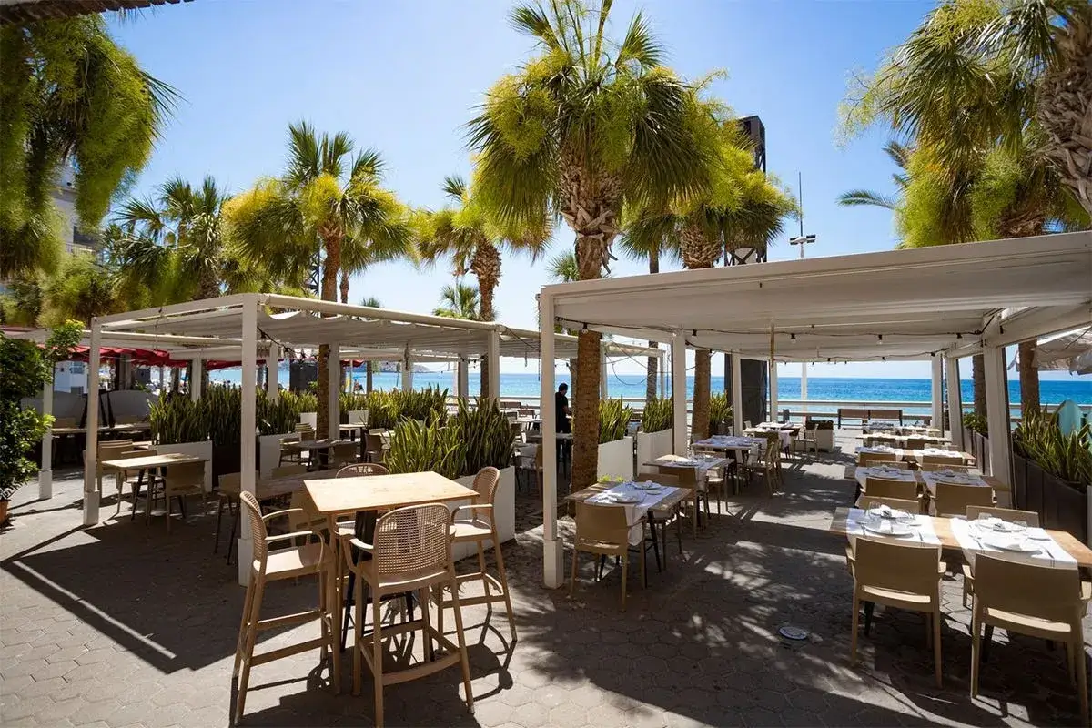 Terraza de restaurante con mesas y sillas bajo palmeras, con el mar de fondo. Un lugar ideal donde comer en Benidorm.
