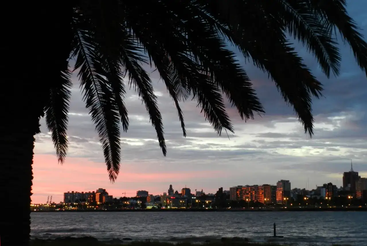 Atardecer en Montevideo, Uruguay. Palmeras en primer plano y la silueta de la ciudad iluminada al anochecer. Un hermoso paisaje para ver en Uruguay.